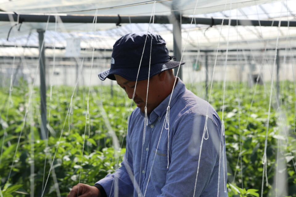 山あり、川あり、海ありの自然豊かなまち「志のまち」への招待状！