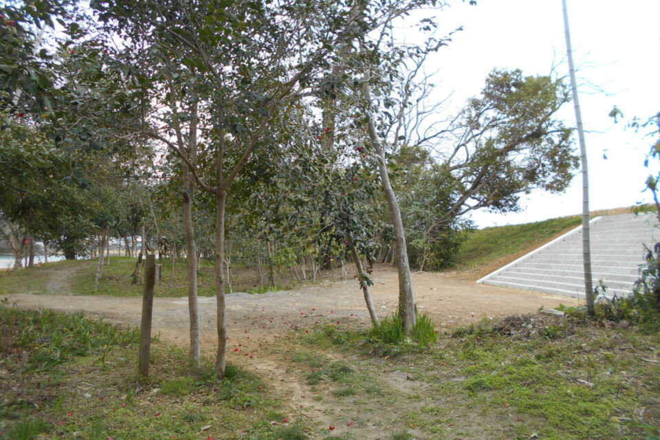 波川地区かわまちづくり事業