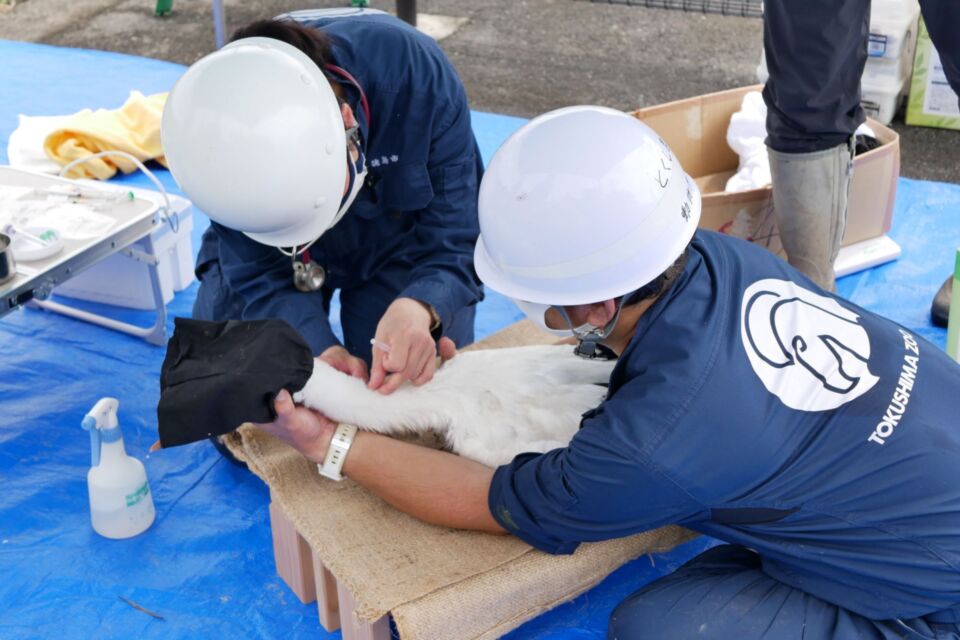 とくしま動物園魅力創造プロジェクト