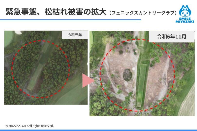 宮崎の海岸松林とゴルフコースを守ろう