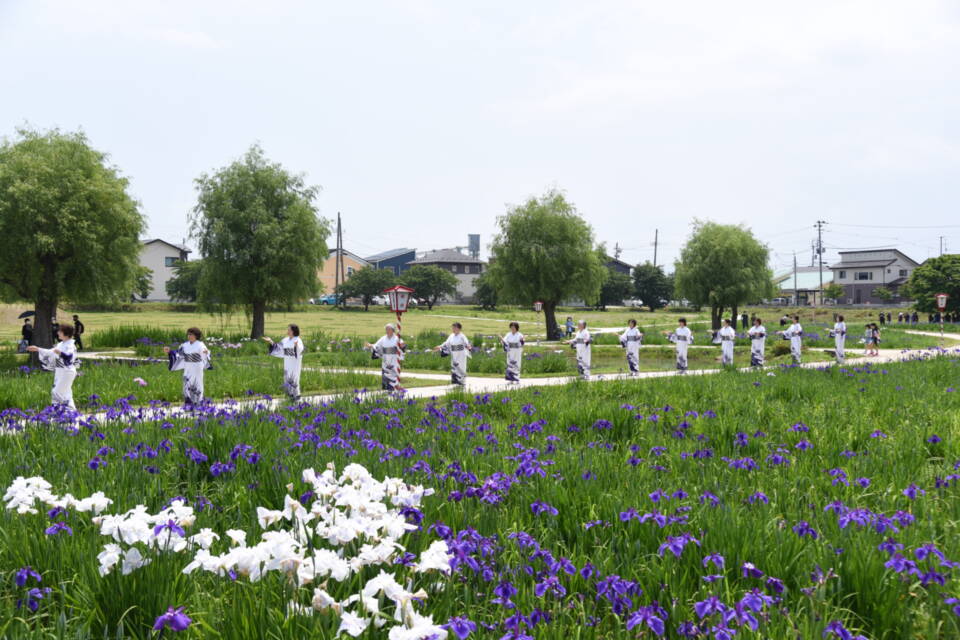 四季の彩り 花しょうぶ園の保全・魅力向上プロジェクト
