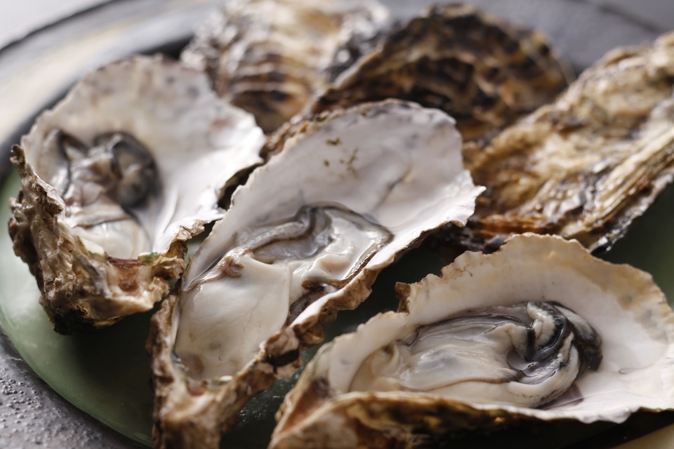 「仕事×移住」地域人材創出プロジェクト