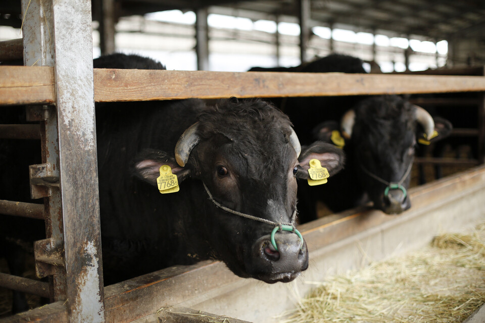 自然と人にやさしい循環型農業プロジェクト