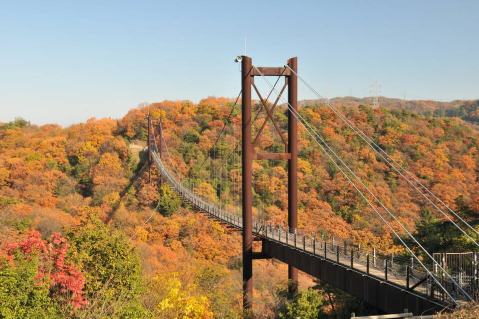 【災害時にもきめ細かな支援を！】交野市トイレカー維持・管理を含む防災力強化事業