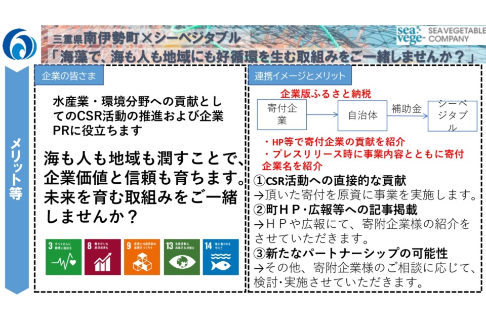 （南伊勢町×合同会社シーベジタブル連携） 養殖藻場・海藻生産実証事業