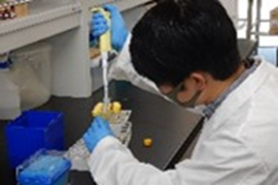 プロジェクト概要画像