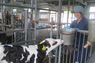 プロジェクト概要画像