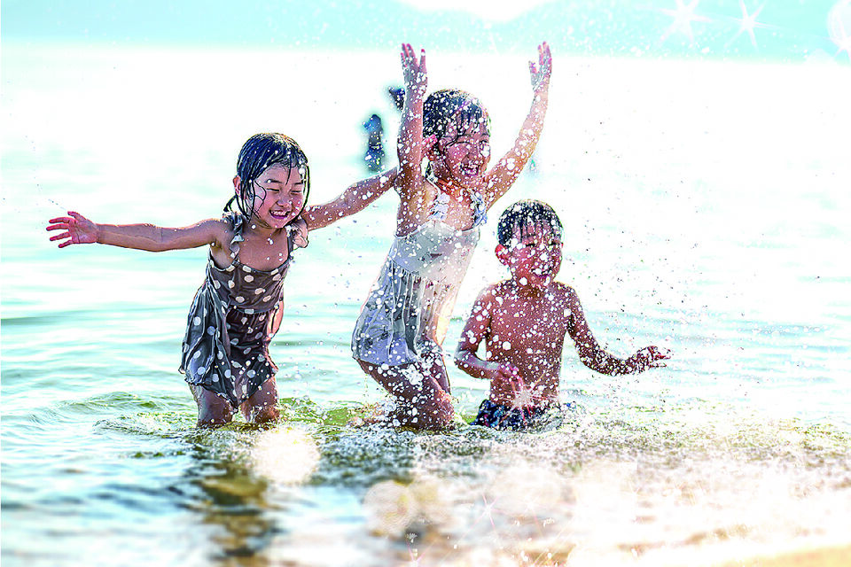 プロジェクト概要画像