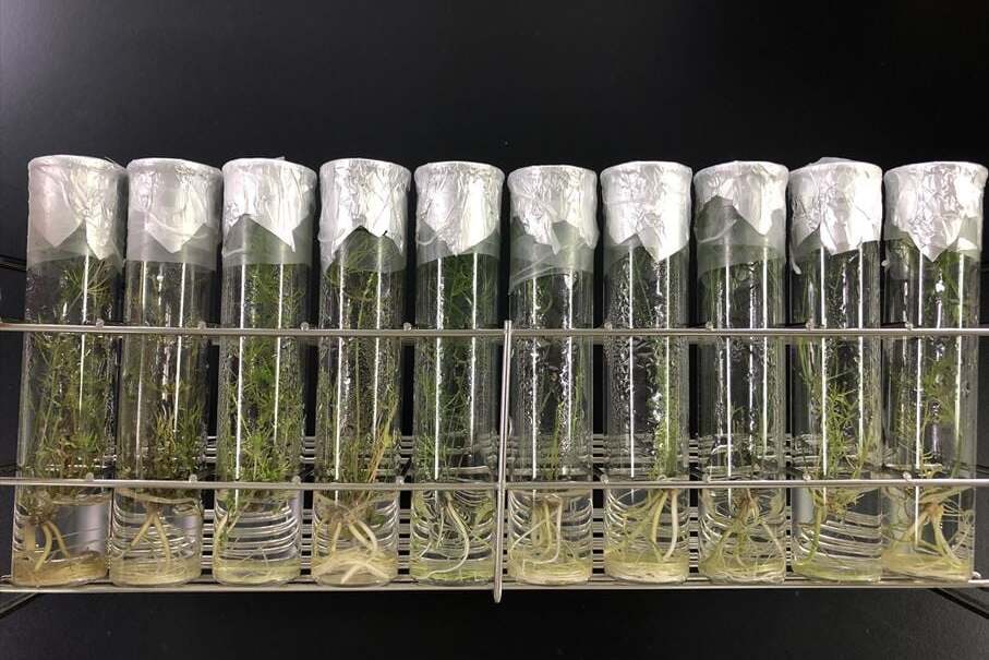 プロジェクト概要画像