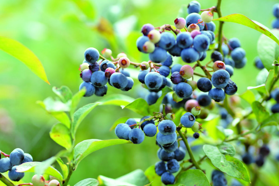 プロジェクト概要画像