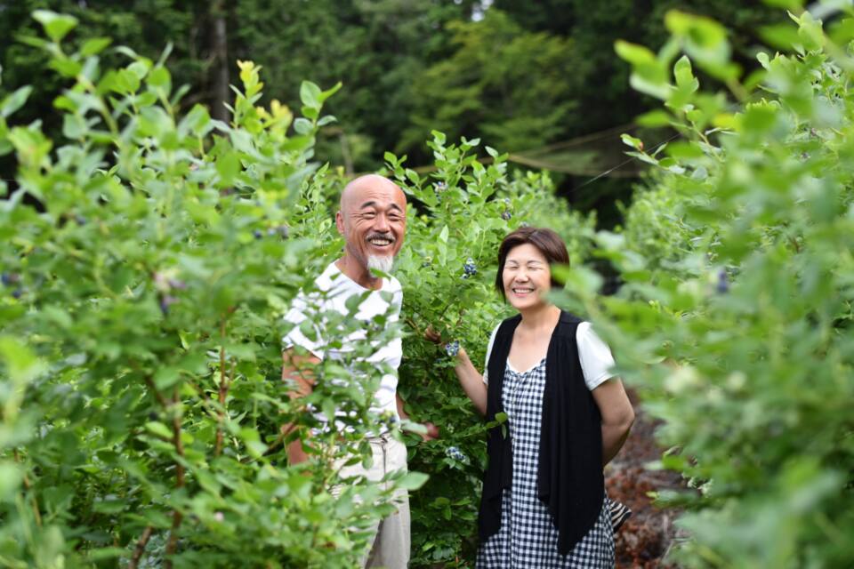 プロジェクト概要画像