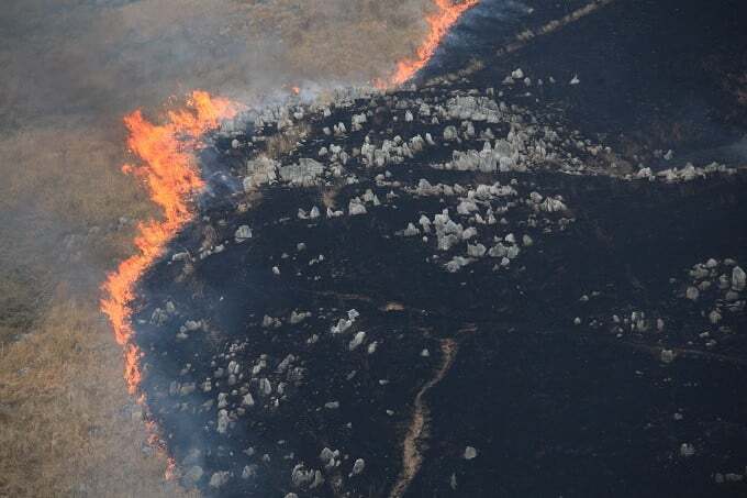 プロジェクト概要