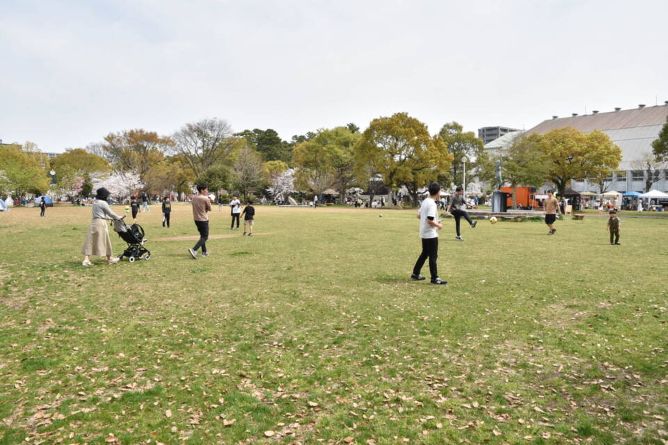 プロジェクト概要画像