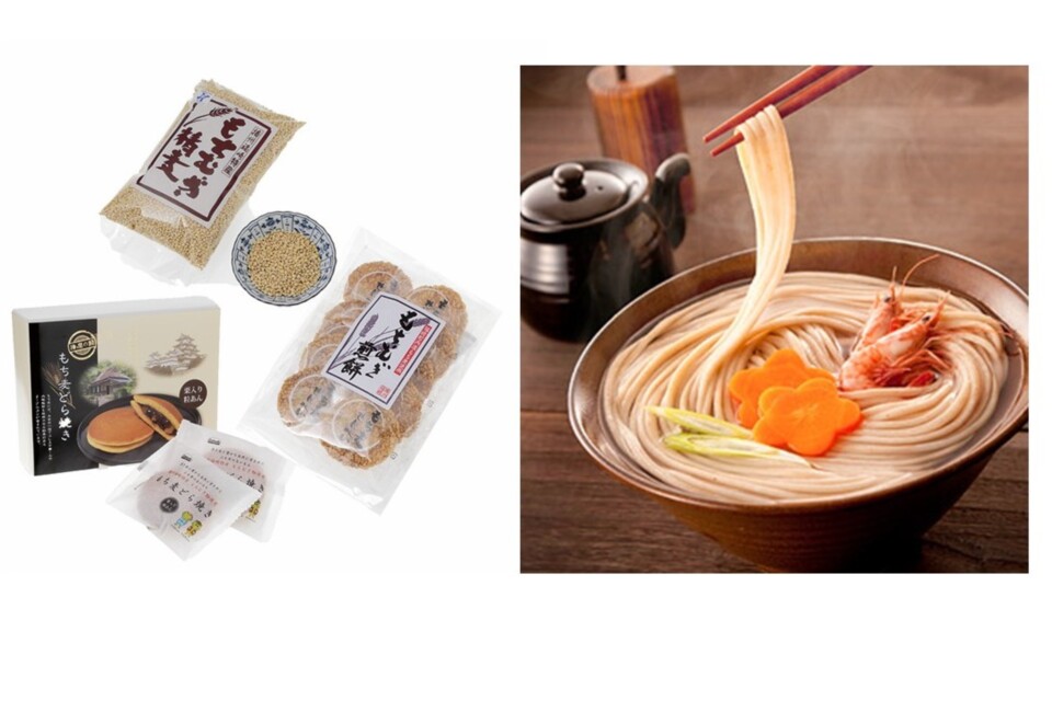 プロジェクト概要画像