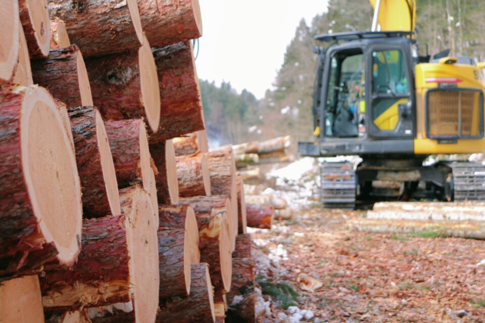 プロジェクト概要画像