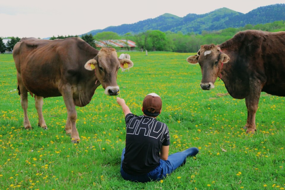 プロジェクト概要画像