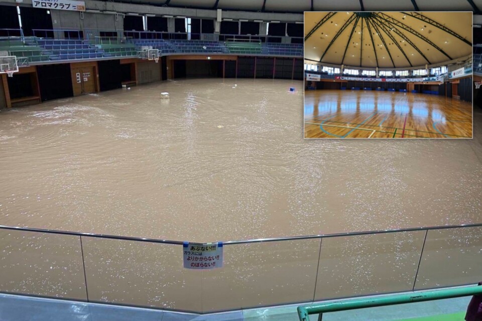 プロジェクト概要画像