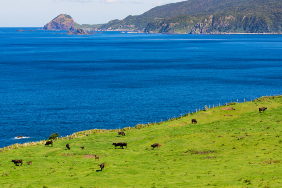 プロジェクト概要画像