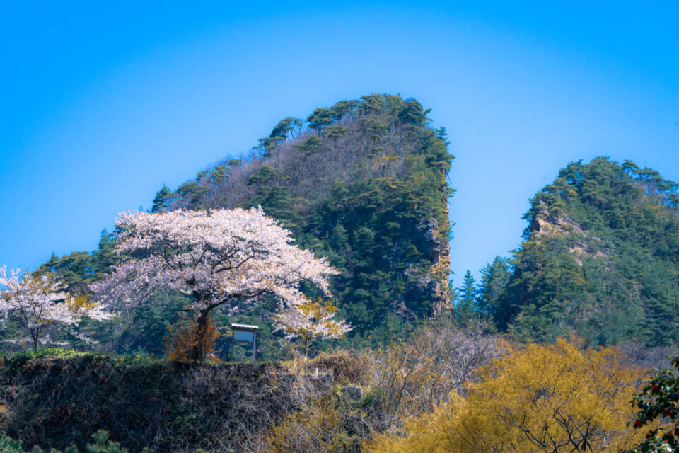 プロジェクト概要画像