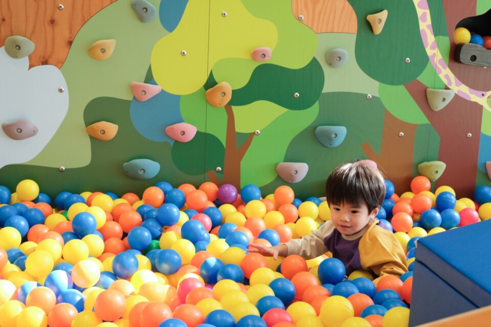 プロジェクト概要