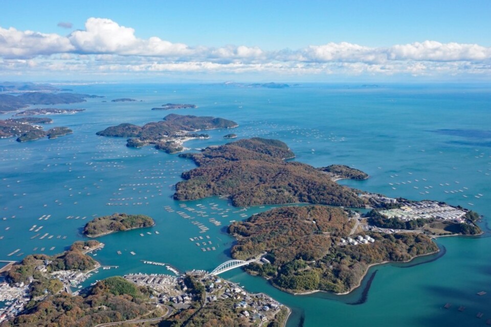 プロジェクト概要画像