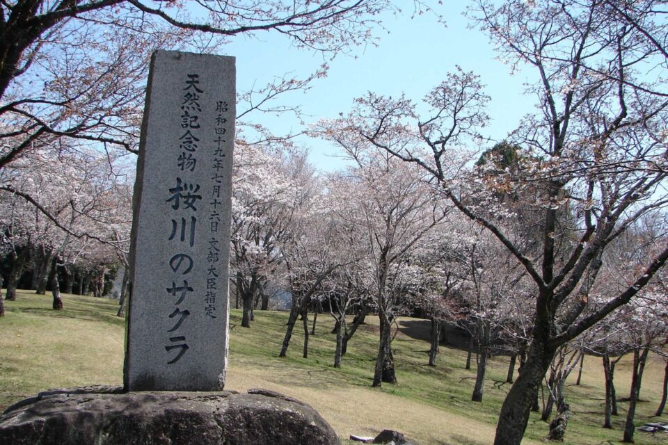 プロジェクト概要画像