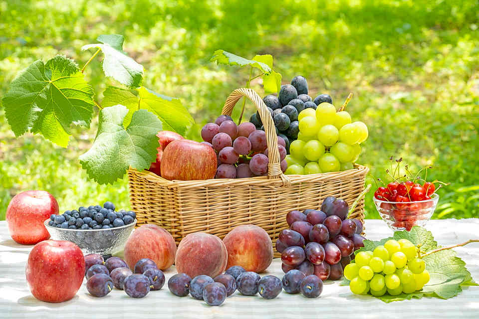 プロジェクト概要