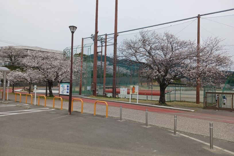 プロジェクト概要画像