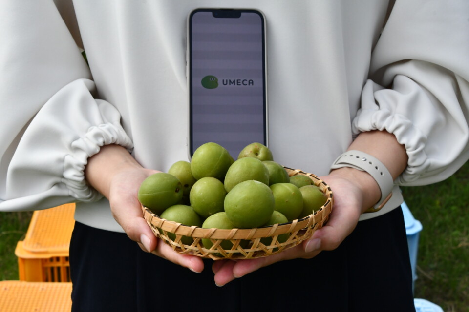 プロジェクト概要画像