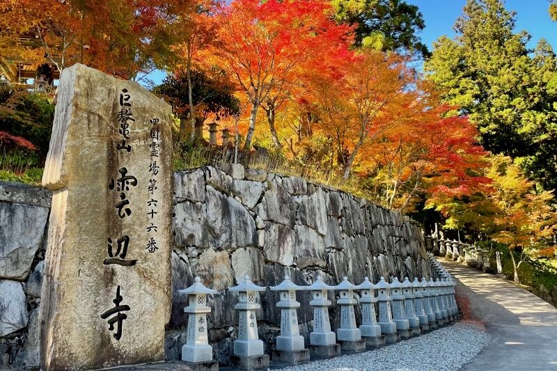 プロジェクト概要画像