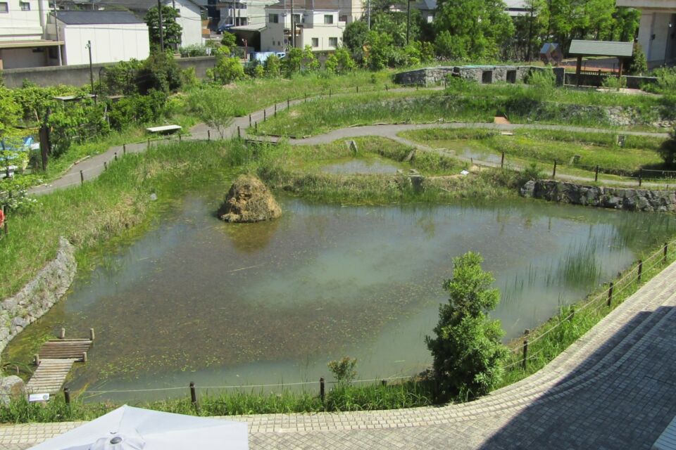 プロジェクト概要画像