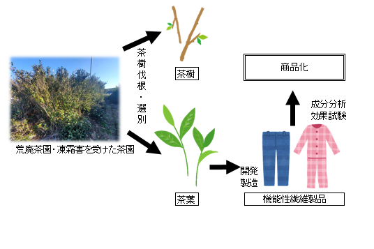 プロジェクト概要画像