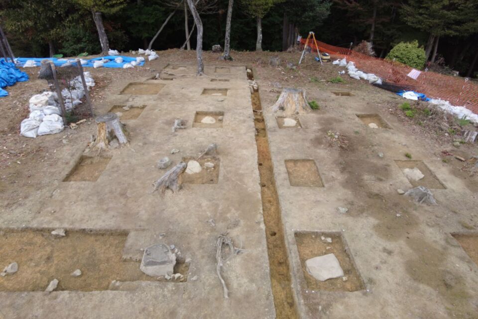 プロジェクト概要画像