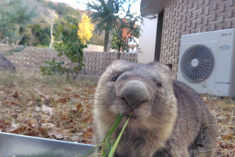 プロジェクト概要画像