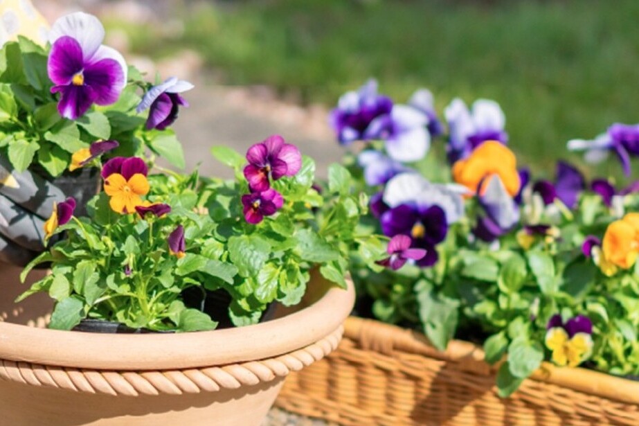 プロジェクト概要画像