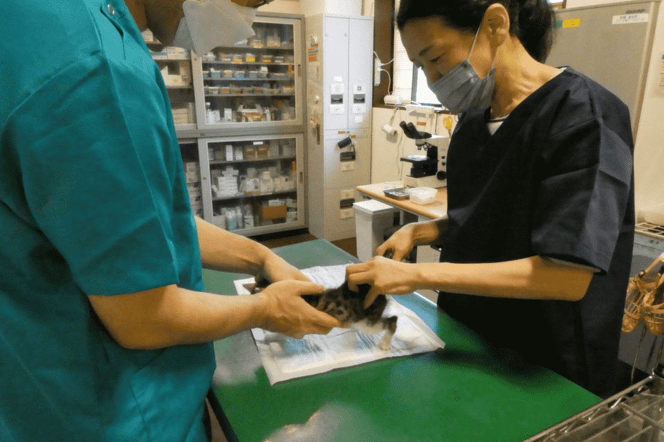 プロジェクト概要画像