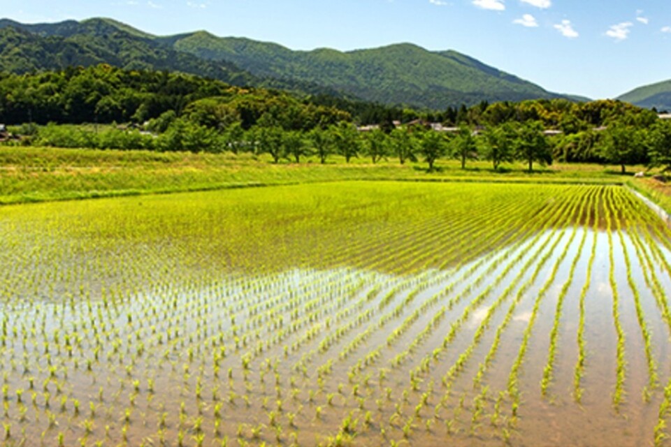 プロジェクト概要画像