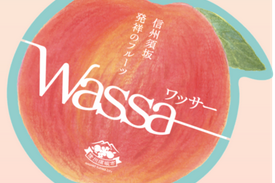 プロジェクト概要画像