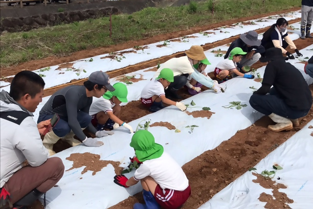 プロジェクト概要画像