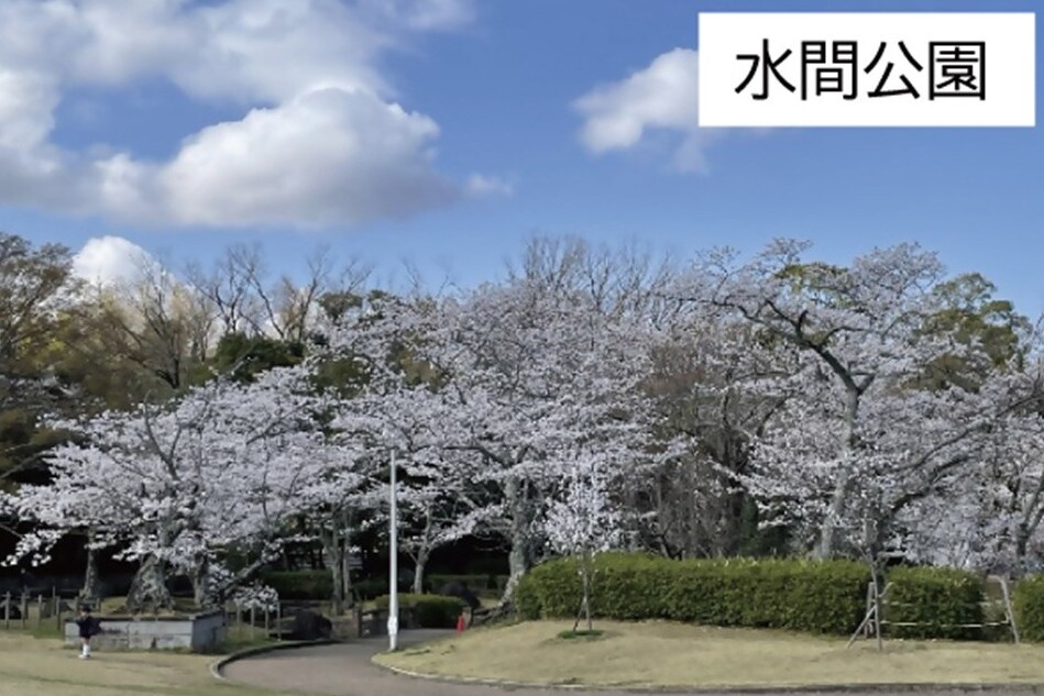 プロジェクト概要画像