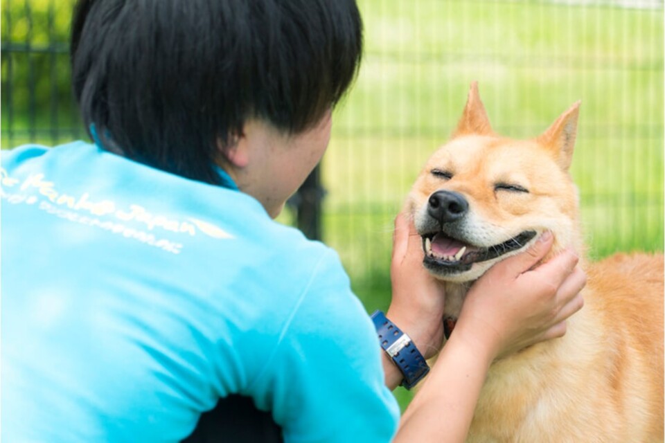 プロジェクト概要画像