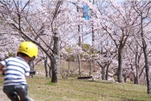 プロジェクト概要画像