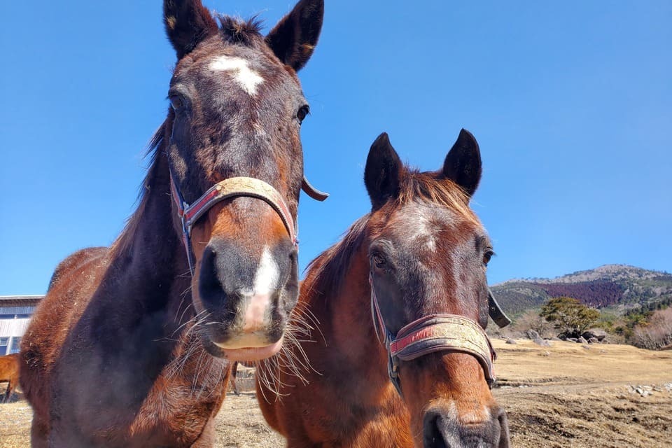 プロジェクト概要画像