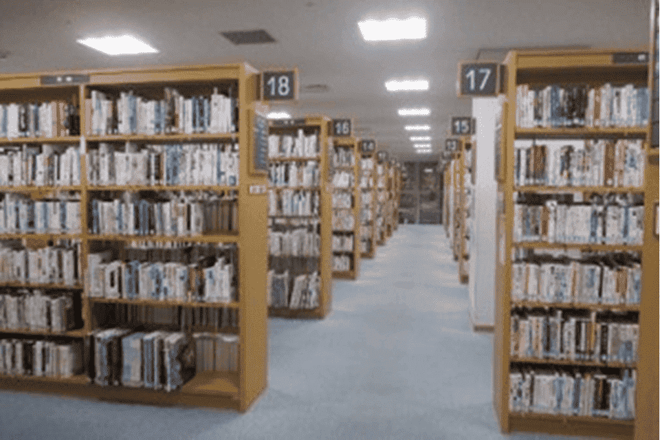 プロジェクト概要