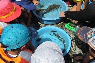 プロジェクト概要画像