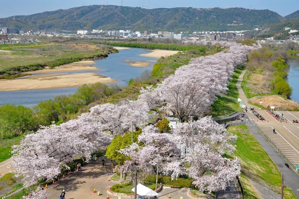 プロジェクト概要画像
