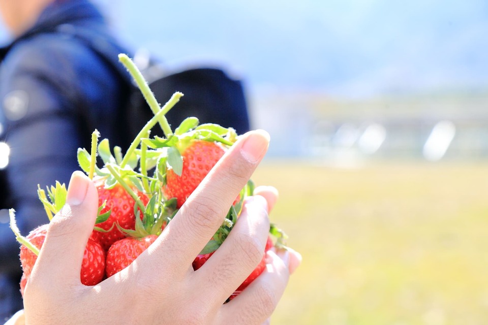 プロジェクト概要画像