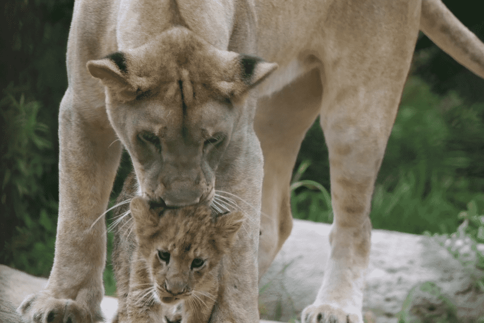 プロジェクト概要画像